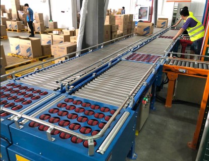 Balance wheel sorting machine